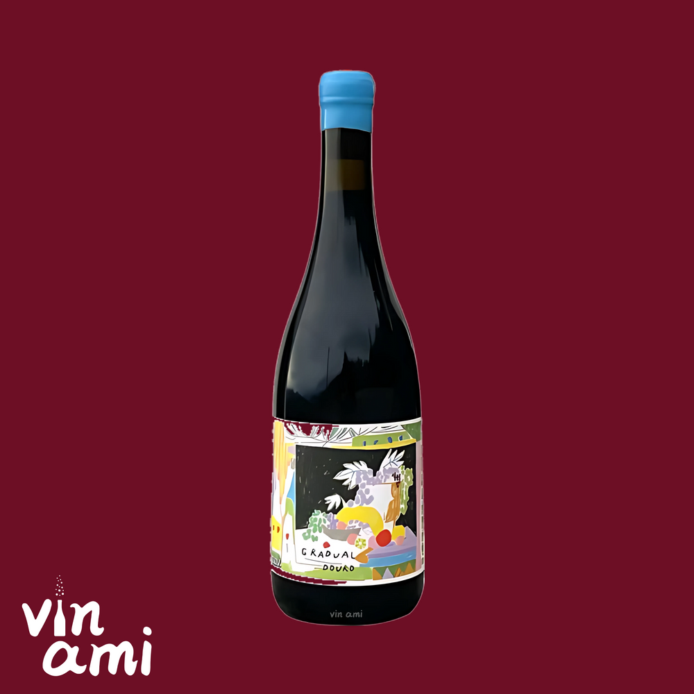 Quinta da Costa do Pinhao Ida 'Gradual' Douro Tinto 2020