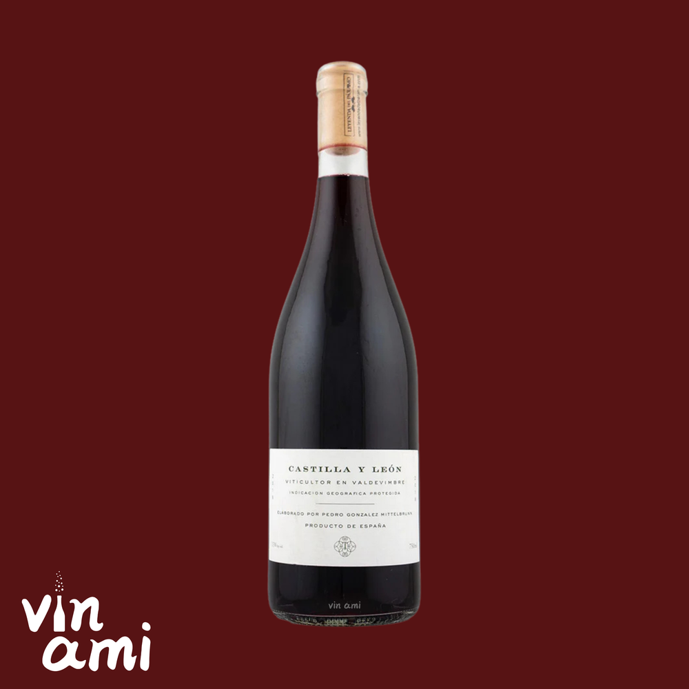 Gonzalez Mittelbrunn Castilla y Leon (Mary Taylor)