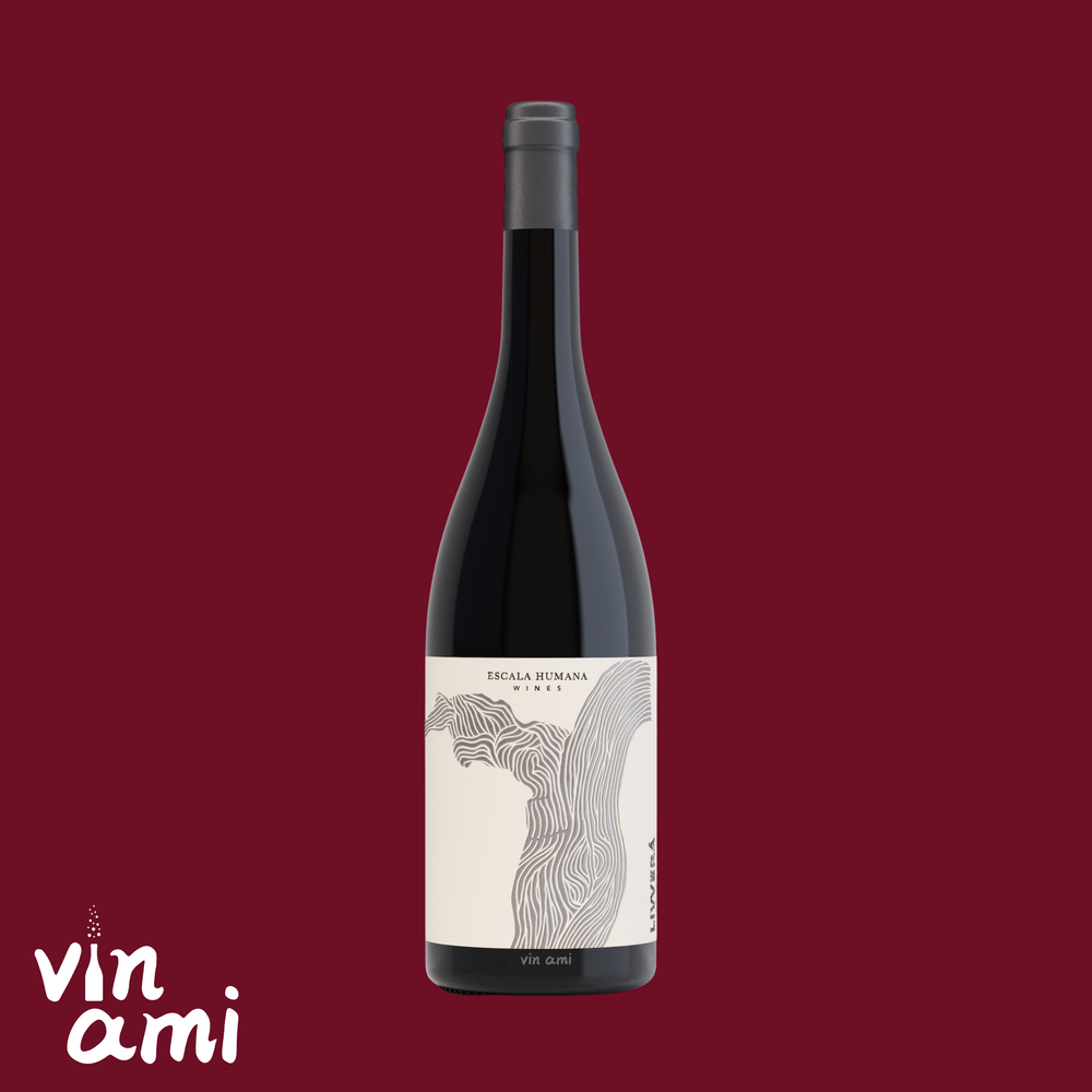 Escala Humana 'Livvera' Bequingol 2023